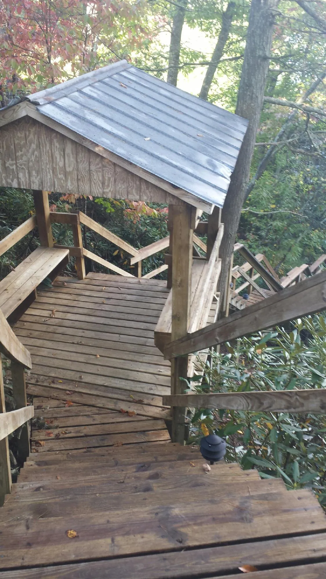 Metal roofed shelter over wooden steps on a wooded walkway — Skylight Repair & Installation work by our crew in Mantachie